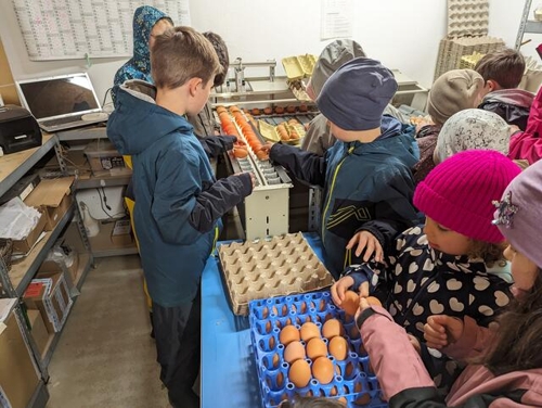 Lernausflug der Kinderorganisation ROTFÜCHSE zum Bio-Bauernhof