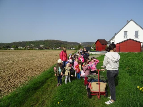 Wandertag: Kita-Kinder engagieren sich für kranke Kinder in Gundelsheim