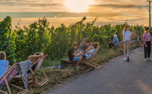 Weinbau in Heilbronn: Eine Tradition, die verbindet