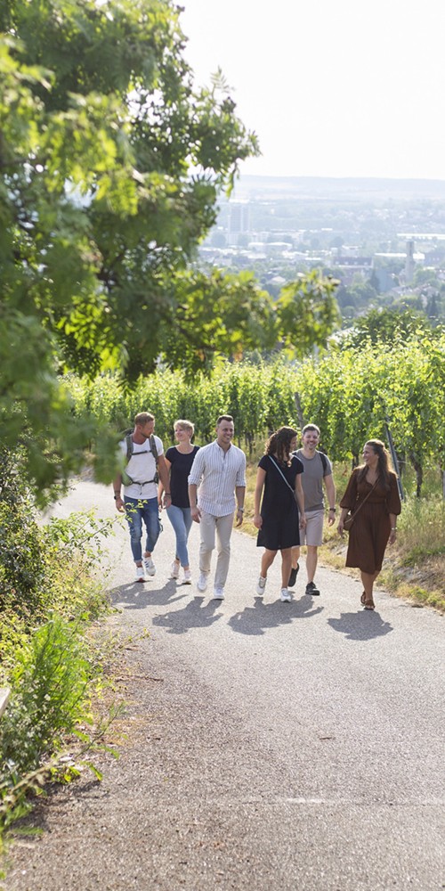 Wein und Kulinarik in Heilbronn: Ein Genusserlebnis