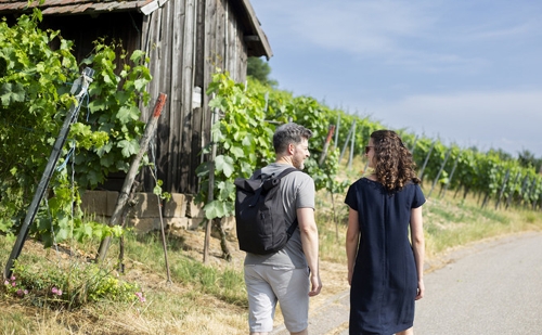 Tourismus und KI in Heilbronn