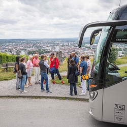 Geführte Halbtagstouren durch Heilbronns Weinlandschaft
