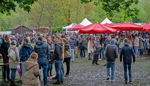 Wein am See: Ein idyllisches Weindorf-Event am Breitenauer See