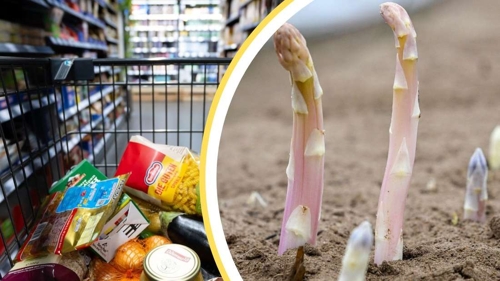 Gesundheitliche Risiken bei übermäßigem Spargelkonsum