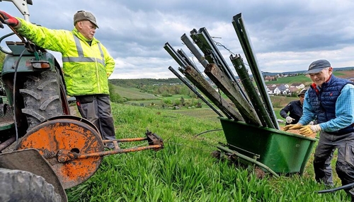 Weinbau im Nebenerwerb in Heilbronn: Eine Herausforderung