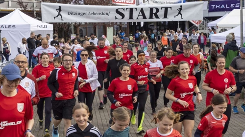 Wein beim Ditzinger Lebenslauf: Eine Premiere in der Region