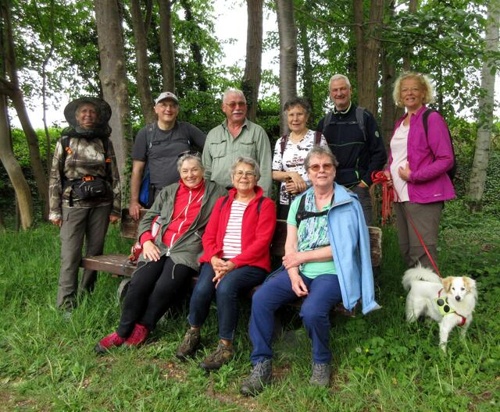 Weinkultur und Naturerlebnis in Heilbronn: Eine Wanderung an den Kirchheimer Weinterrassen