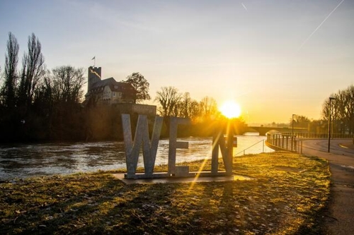 Sonnenaufgang in Lauffen am Neckar: Wein und Natur