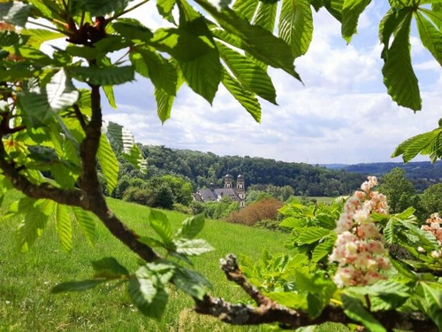 Weinwandern & Genießen in Heilbronn: „Wein über Berg und Tal“