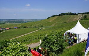 Wein über Berg und Tal in Löwenstein