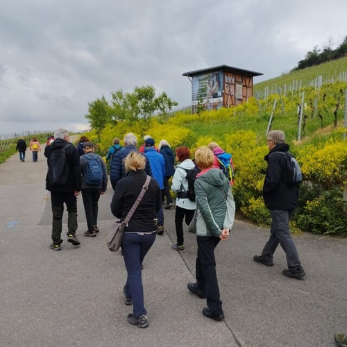 Mittwochswanderung zum Botanischen Obstgarten in Heilbronn