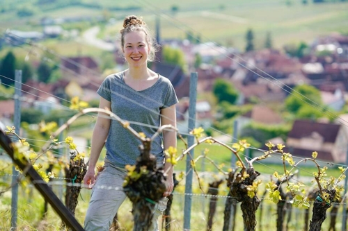 Mehr Frauen und Quereinsteiger im Winzer-Handwerk rund um Heilbronn