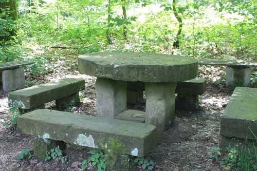 Entdeckung der Weinberge in Bretzfeld Siebeneich