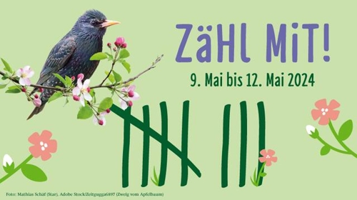 NABU Ortsgruppe Heilbronn und Umgebung: Stunde der Gartenvögel
