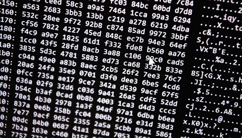 Quantencomputing: Heilbronns Weg zur Spitzentechnologie
