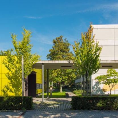 Gymnasien in Heilbronn: Vielfältige Bildungsangebote