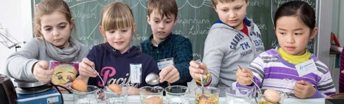 Hector Kinderakademie Heilbronn: Begabtenförderung vor Ort