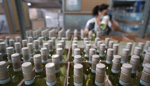 Deutscher Wein erobert die Welt: Beliebtheit im Ausland steigt