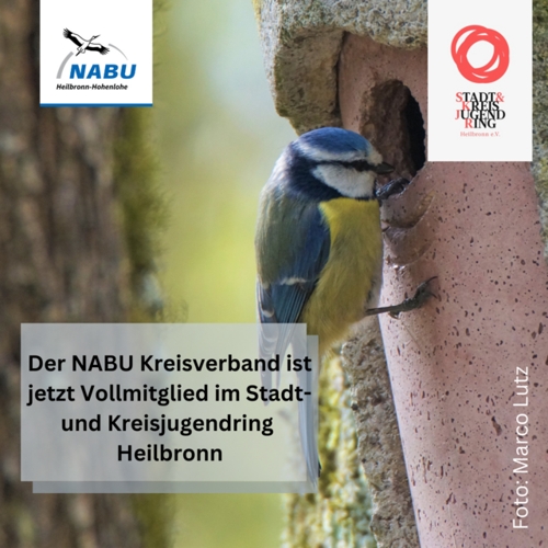 Frischer Wind durch Jugendarbeit in Heilbronn