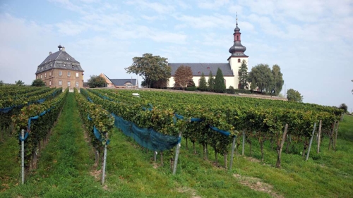 Deutschlands älteste Weinlage in Rheinland-Pfalz
