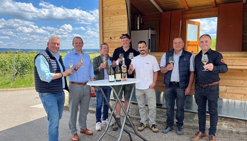 Wein und Drei-Burgen-Blick genießen in Ilsfeld