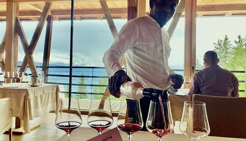 Württemberger Trollinger in Südtirol