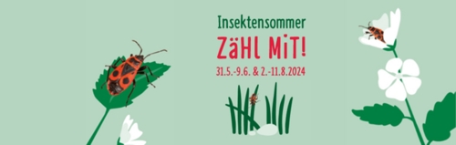 NABU Heilbronn: Mitmachaktion Insektensommer