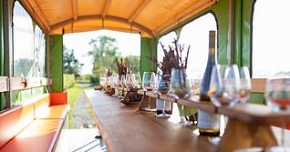 Lesersommer 2024: Weingut Seybold im Fokus
