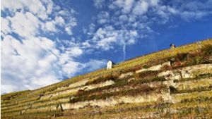 Wandertipps für Baden-Württemberg: In und um Hölderlins Lauffen