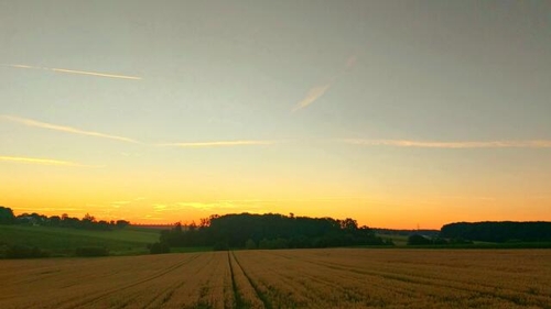 Hohenloher Weindorf in Öhringen
