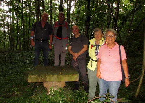 Neues aus dem Stadtwald: WWW: Wartberg, Wasser und Wein – bis zum Stiftsberg