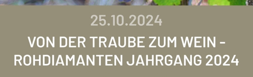 Von der Traube zum Wein – Rohdiamanten Jahrgang 2024