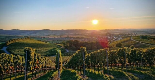 Veranstaltungstipps in den Sommerferien – Heilbronn & Umgebung