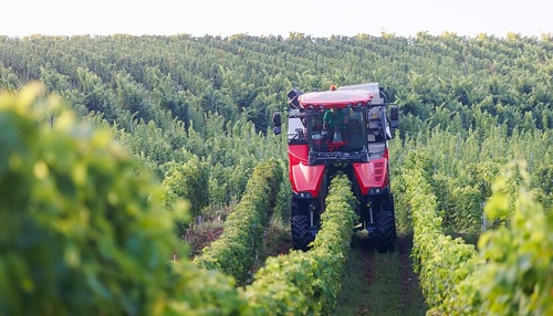 Hauk: Weinbranche muss mehr für Export tun