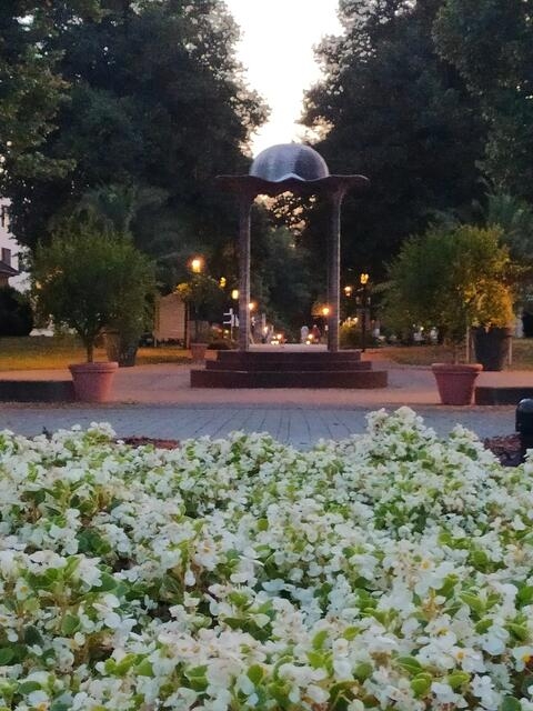 Laue Sommernacht in den Rappenauer Parks: Stimmungsvoller Abendspaziergang