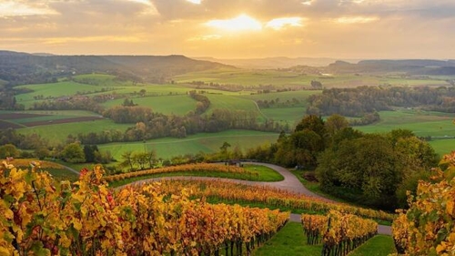 Spätsommer & Herbst-Tipps in der Region Heilbronn