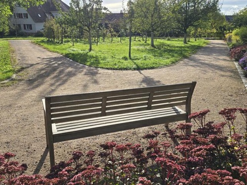 Digitale Kompetenzen und KI in Heilbronn