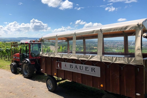 Weinerlebnis mit dem Planwagen in Heilbronn-Sontheim
