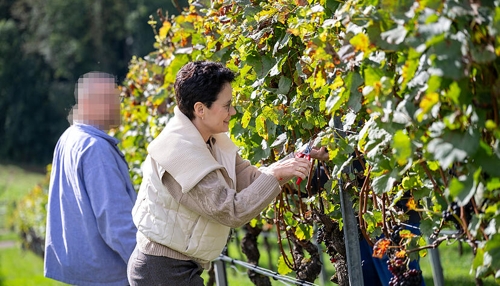 Weingut auf dem Hohrainhof: Tradition und Qualität