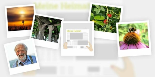 Meine Heimat in Print: September 2024: Sonne, Linden und Wespennachwuchs