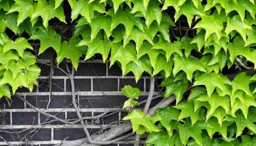 Klimabewusstes Bauen