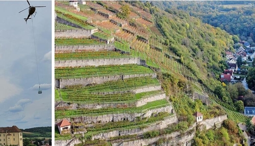 Spektakuläre Weinberg-Rettung im Gundelsheimer Himmelreich