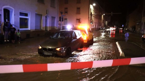 Prognose für guten Wein in Heilbronn