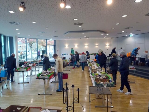 Gebrauchtwarenmarkt in Heilbronn sammelt 430 Euro für Bildungsprojekte