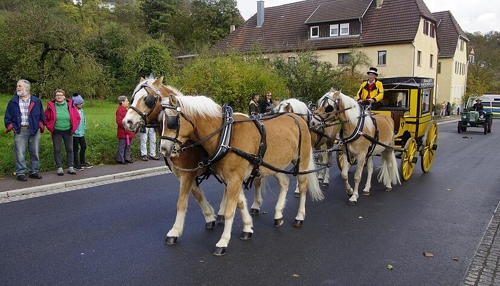 Dörzbacher Herbstpferdemarkt: Tradition trifft Weingenuss