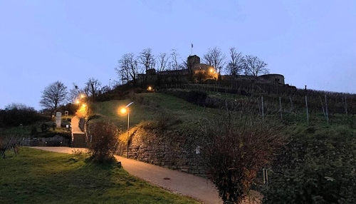 Entdeckungen rund um die Burgruine Weibertreu: Wein und Geschichte