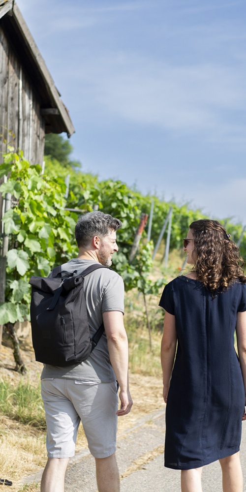Wandern und Verkosten: Heilbronner Weintradition erleben