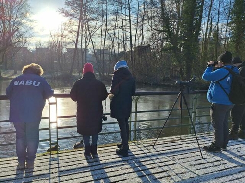Bürgerwissenschaftsprojekt zur Vogelwelt im Pfühlpark