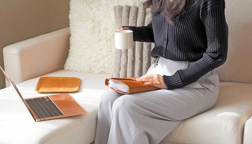 Sofa statt Sitzungssaal? Jungpolitiker in Hohenlohe fordern digitale Ratssitzungen
