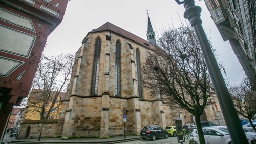 Wein an der Neckarhalde